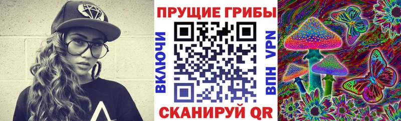 Псилоцибиновые грибы Cubensis mega сайт Сортавала как найти наркотики